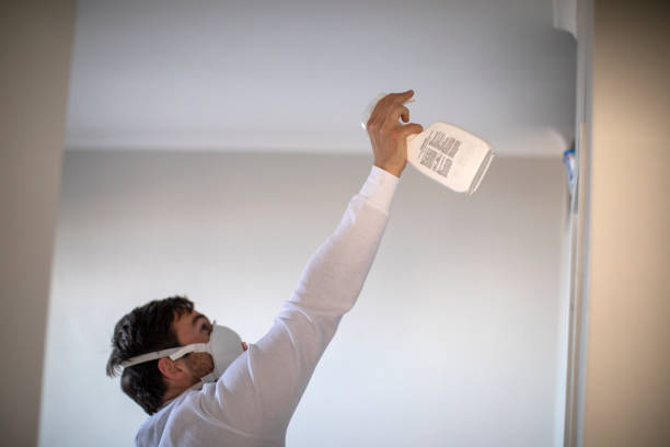 Best Same-Day Mold Removal  in Ridgecrest, FL