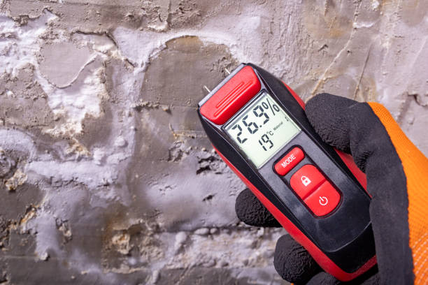 Mold Removal Process in Ridgecrest, FL