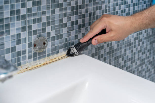 Trusted Ridgecrest, FL Mold Removal Experts