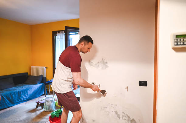 Best Affordable Mold Removal  in Ridgecrest, FL