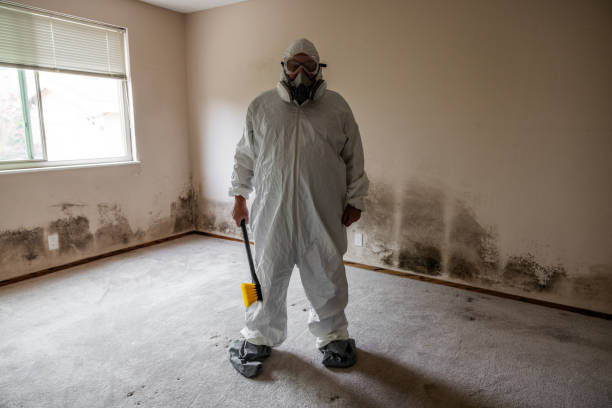 Water Damage Restoration in Ridgecrest, FL